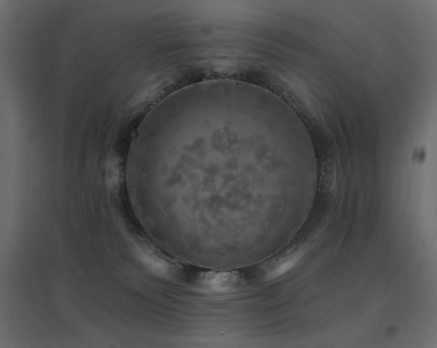 X0000094900135200711291241