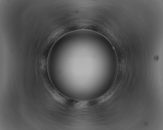 X0000094900138200711291241