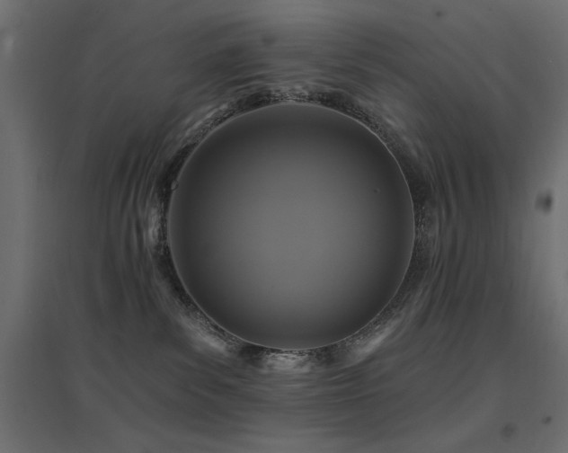 X0000094900139200711291241