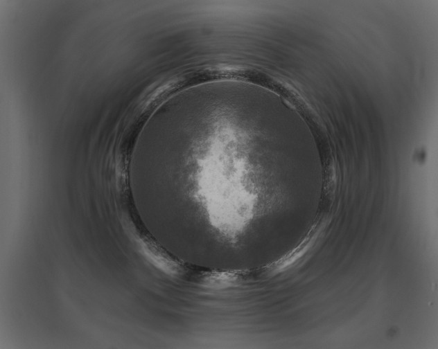 X0000094900140200711291241