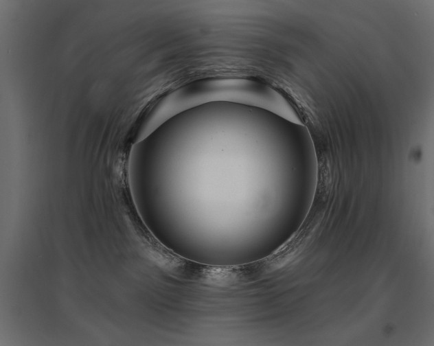 X0000094900141200711291241