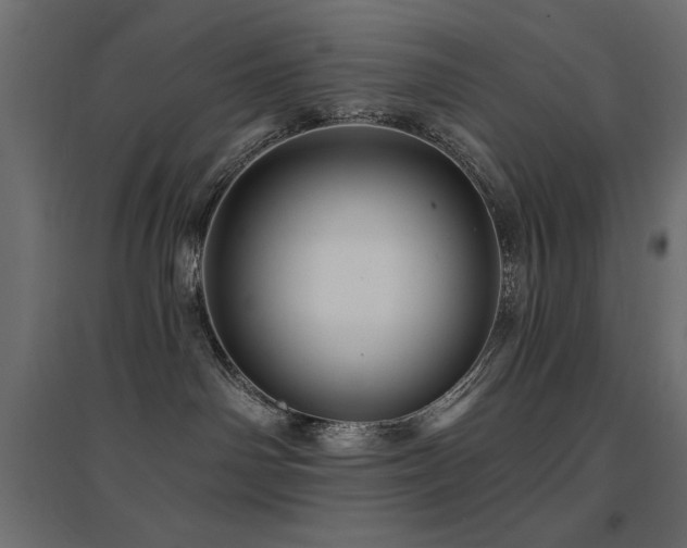 X0000094900142200711291241
