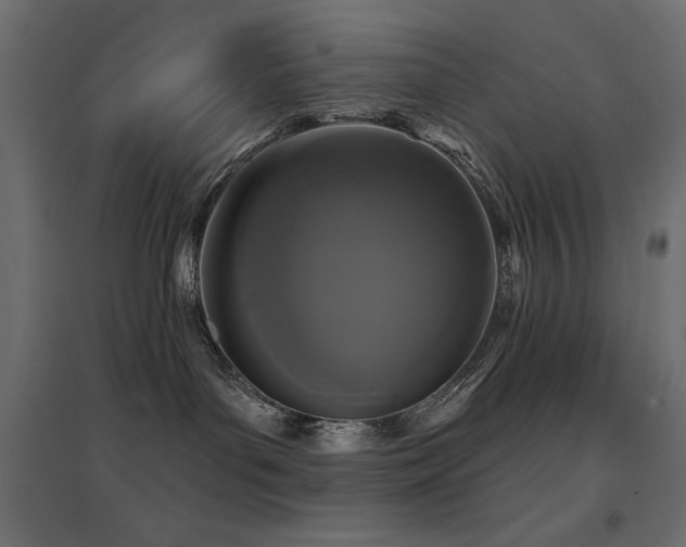 X0000094900143200711291241