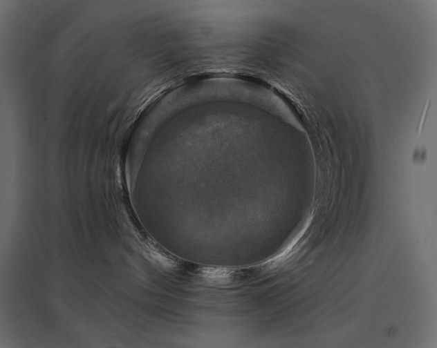 X0000094900144200711291241
