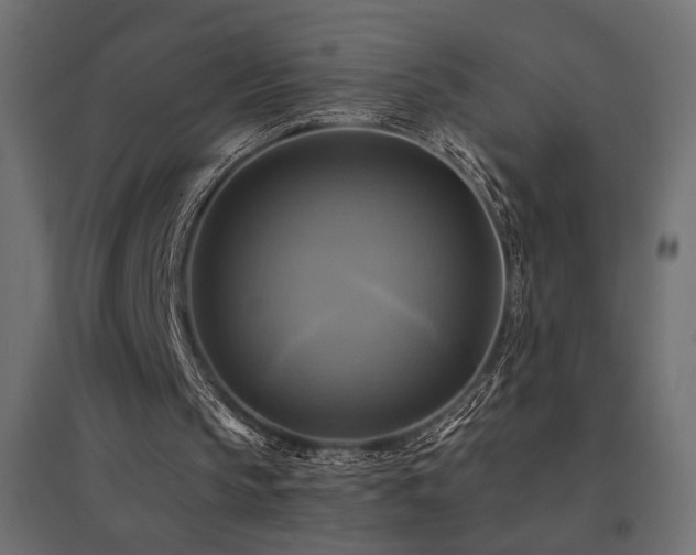 X0000094900145200711291240