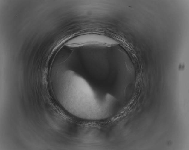 X0000094900146200711291240