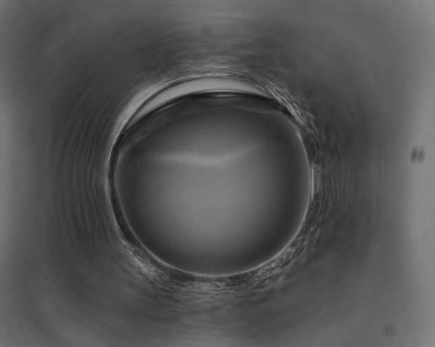 X0000094900147200711291240