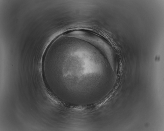 X0000094900148200711291240