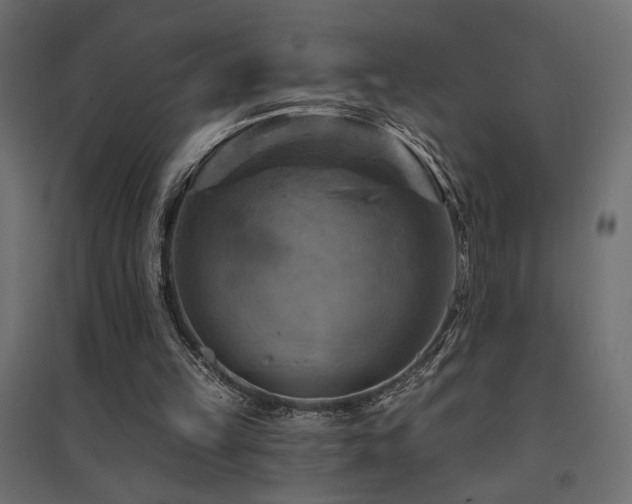 X0000094900149200711291240