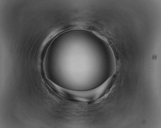 X0000094900150200711291240