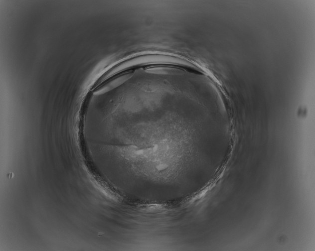 X0000094900151200711291240