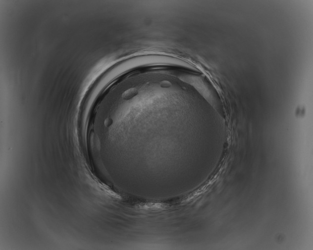 X0000094900152200711291240