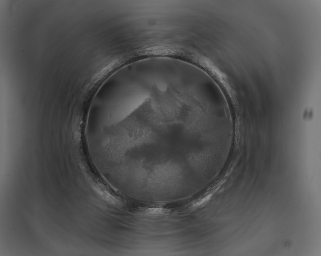 X0000094900153200711291240