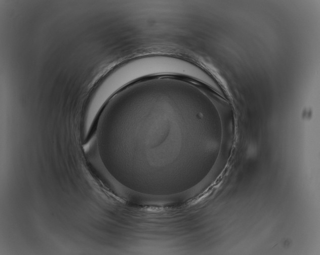 X0000094900154200711291240