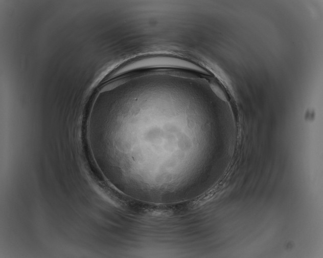 X0000094900155200711291240