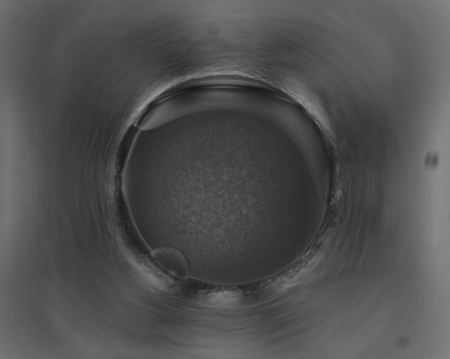 X0000094900156200711291240