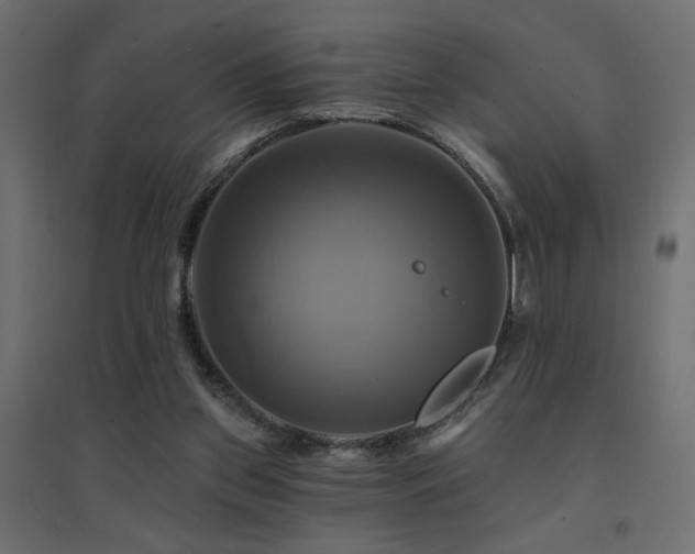 X0000094900157200711291240