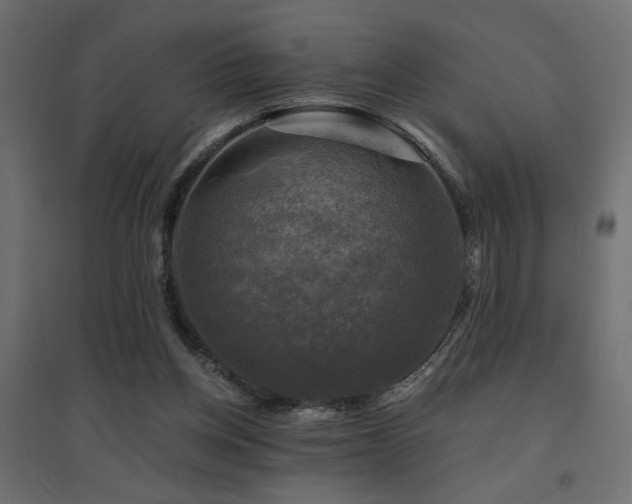 X0000094900158200711291240