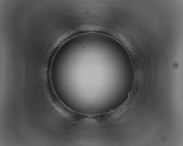 X0000094900159200711291240