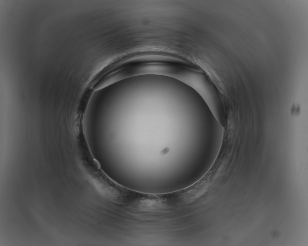 X0000094900160200711291240