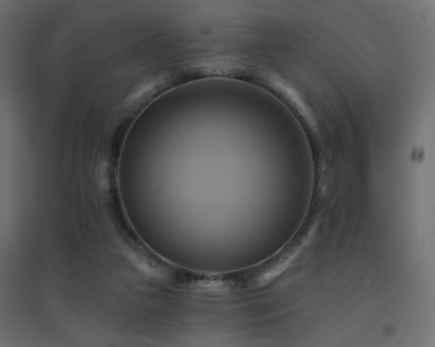 X0000094900161200711291240
