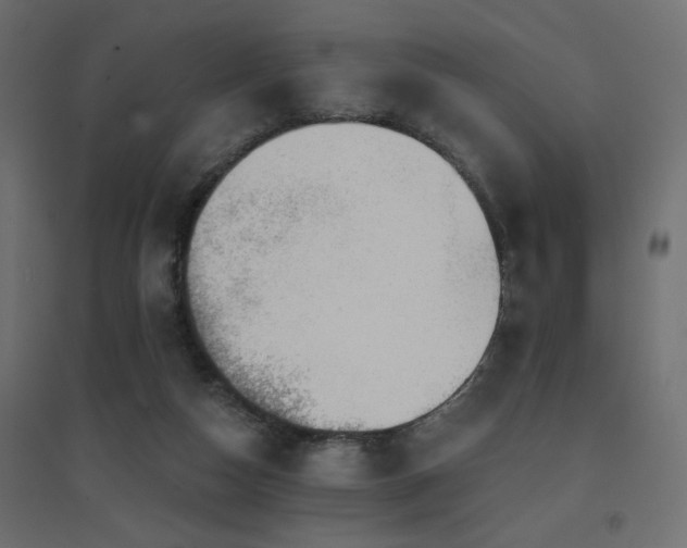 X0000094900162200711291240