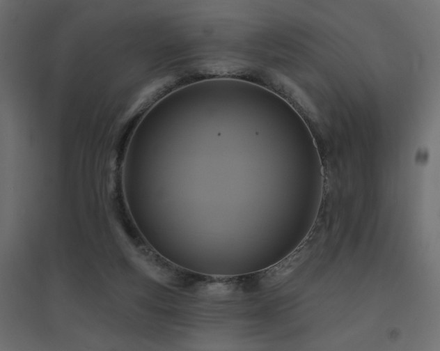 X0000094900163200711291240