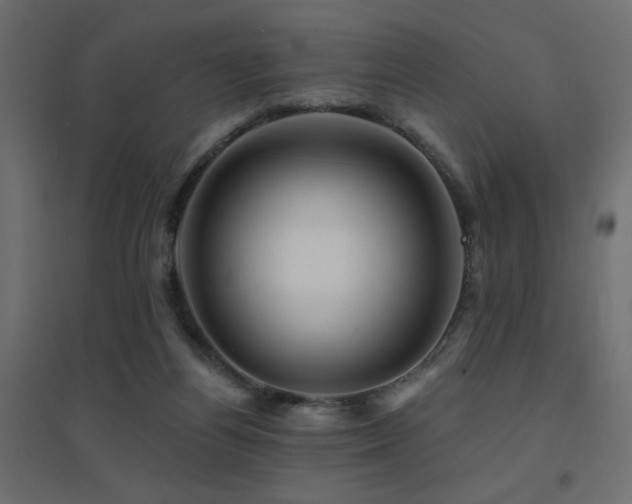 X0000094900164200711291240
