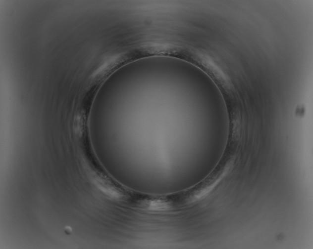 X0000094900165200711291240