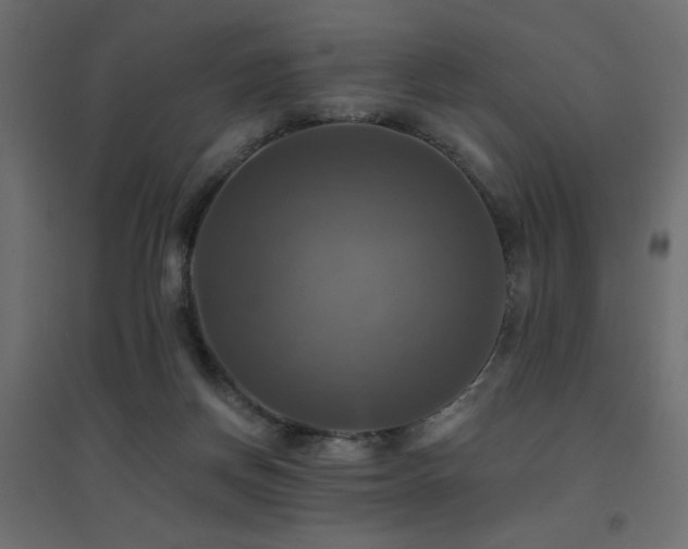 X0000094900166200711291241