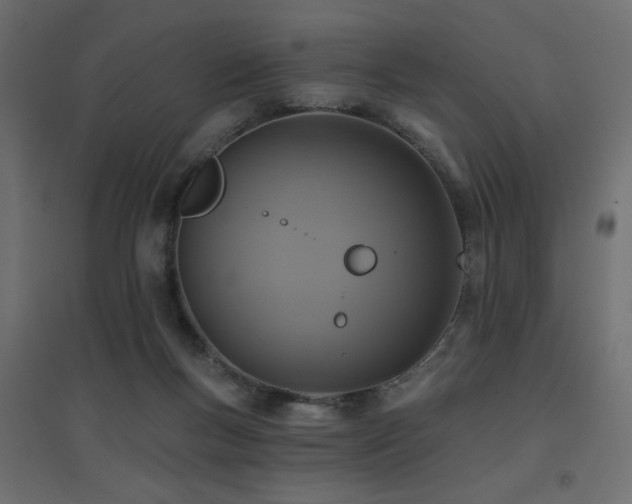 X0000094900167200711291241