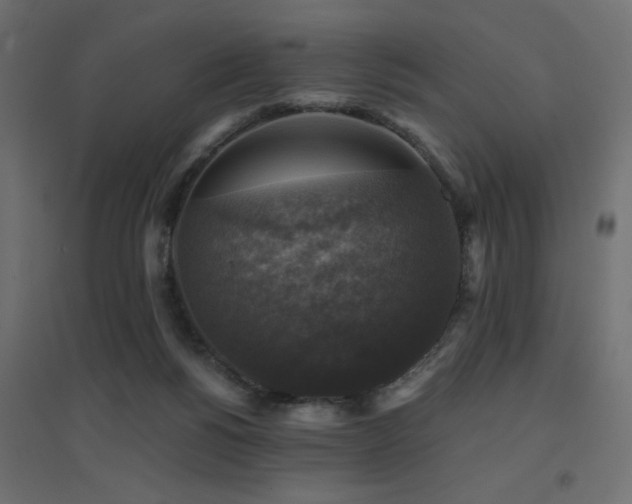 X0000094900168200711291241