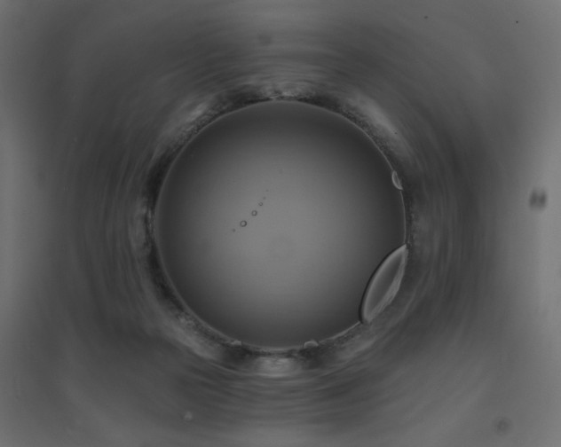 X0000094900169200711291241