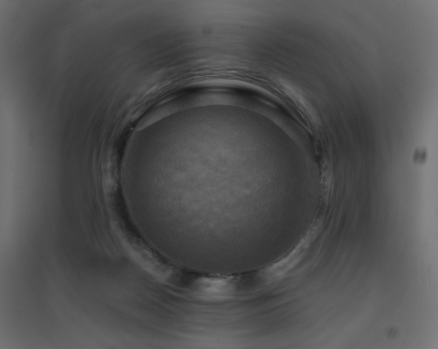 X0000094900170200711291241