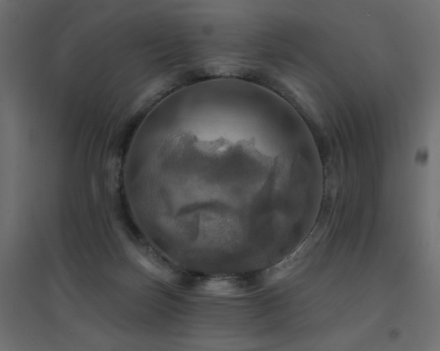 X0000094900171200711291241