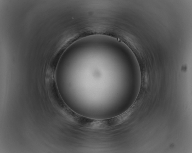 X0000094900172200711291241