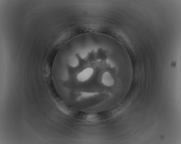 X0000094900173200711291241
