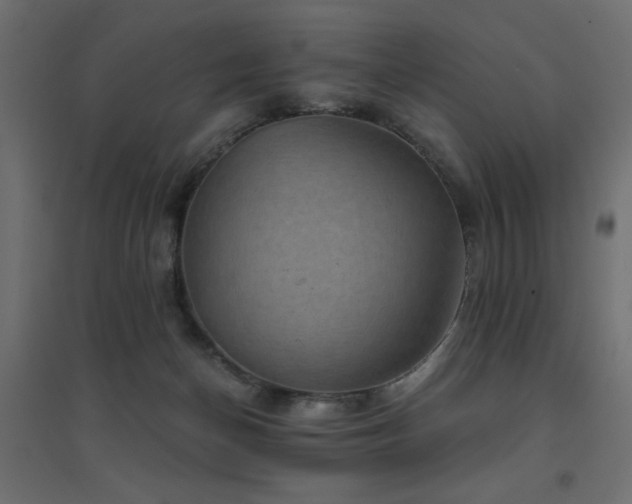 X0000094900174200711291241