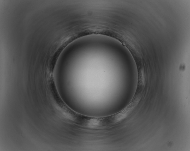 X0000094900176200711291241