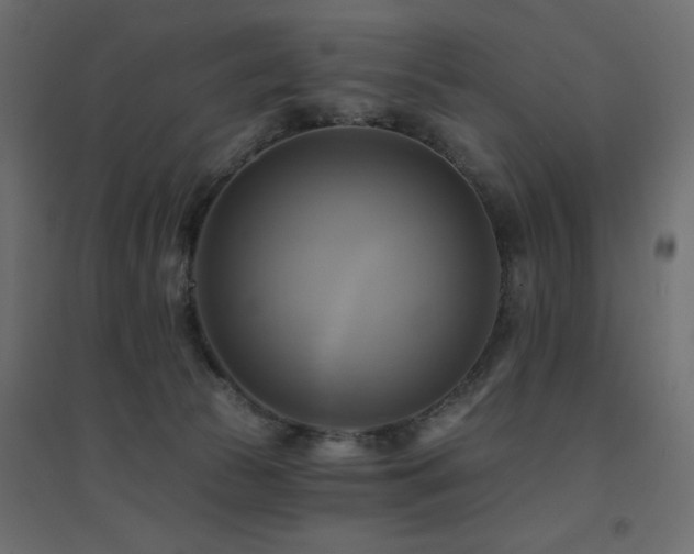 X0000094900177200711291241