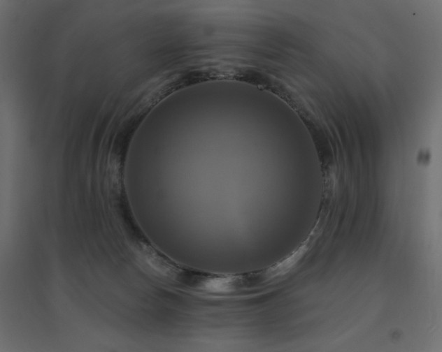 X0000094900178200711291241