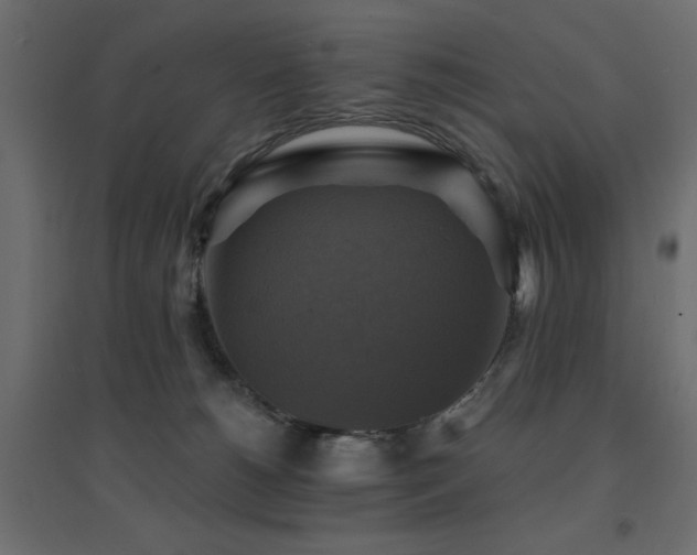 X0000094900180200711291241