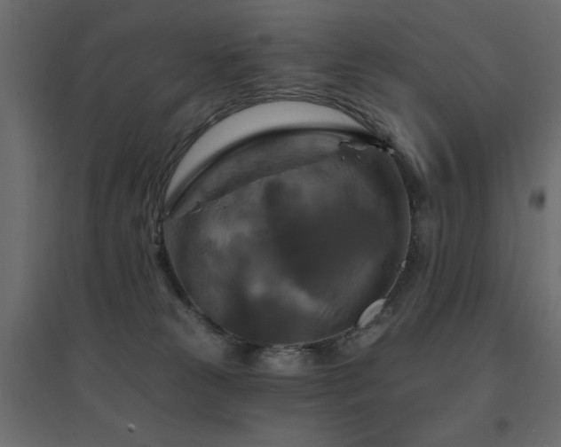 X0000094900181200711291241