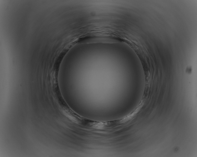 X0000094900182200711291241
