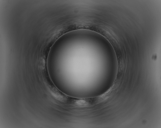 X0000094900183200711291241