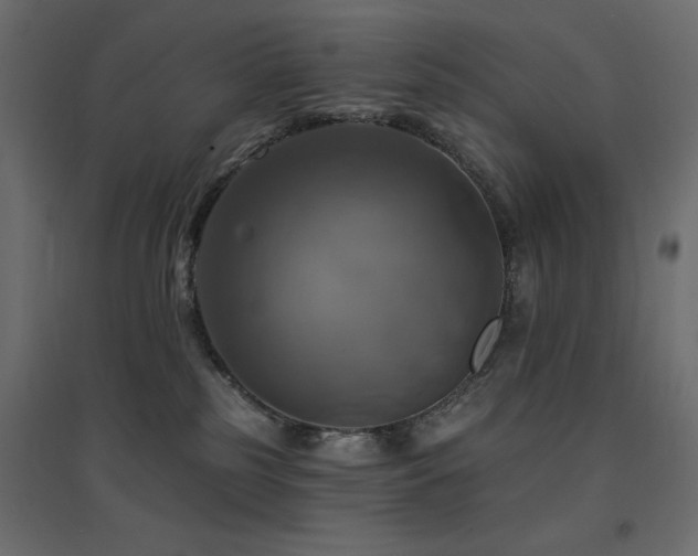 X0000094900185200711291241