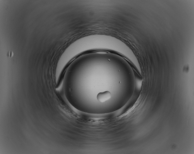 X0000094900186200711291241