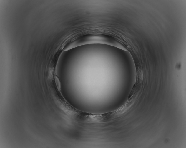 X0000094900188200711291241