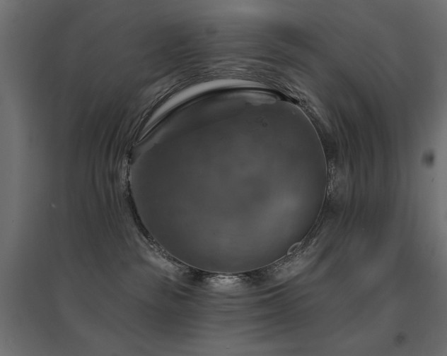 X0000094900189200711291241