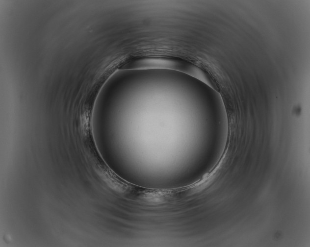 X0000094900190200711291241